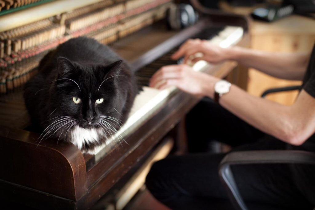 MAXIME-HERVE5©-Altess-1024x682