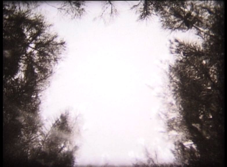 A, le tour du moiCielPins