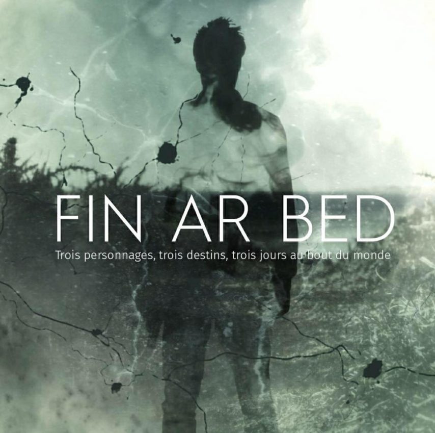 fin ar bed