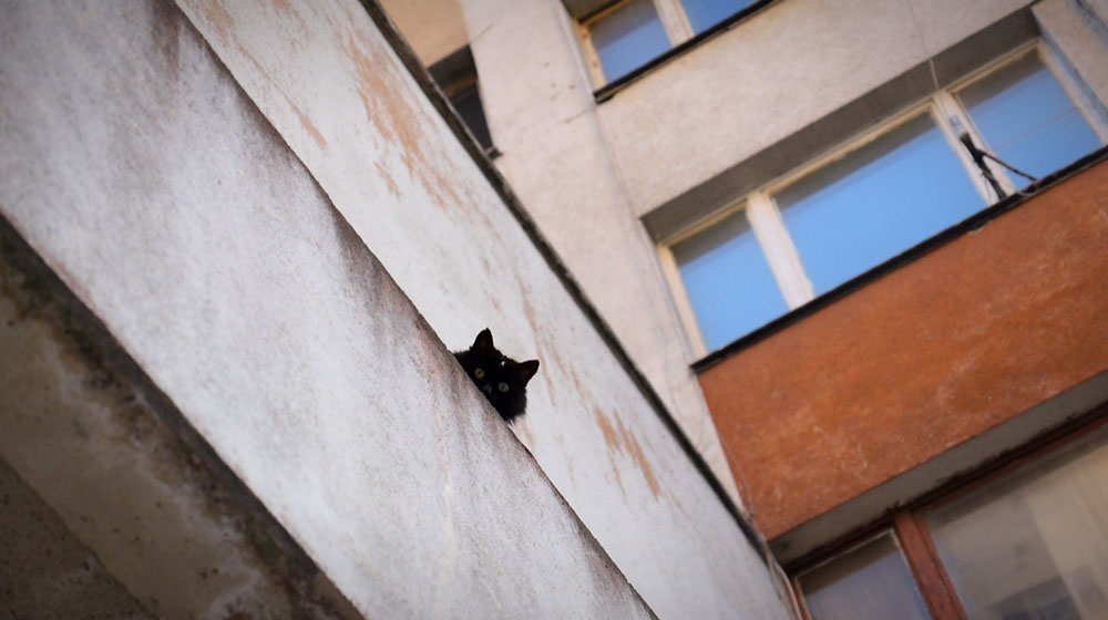 L_IMMEUBLE_DES_BRAVES_CARROUSEL_02BD