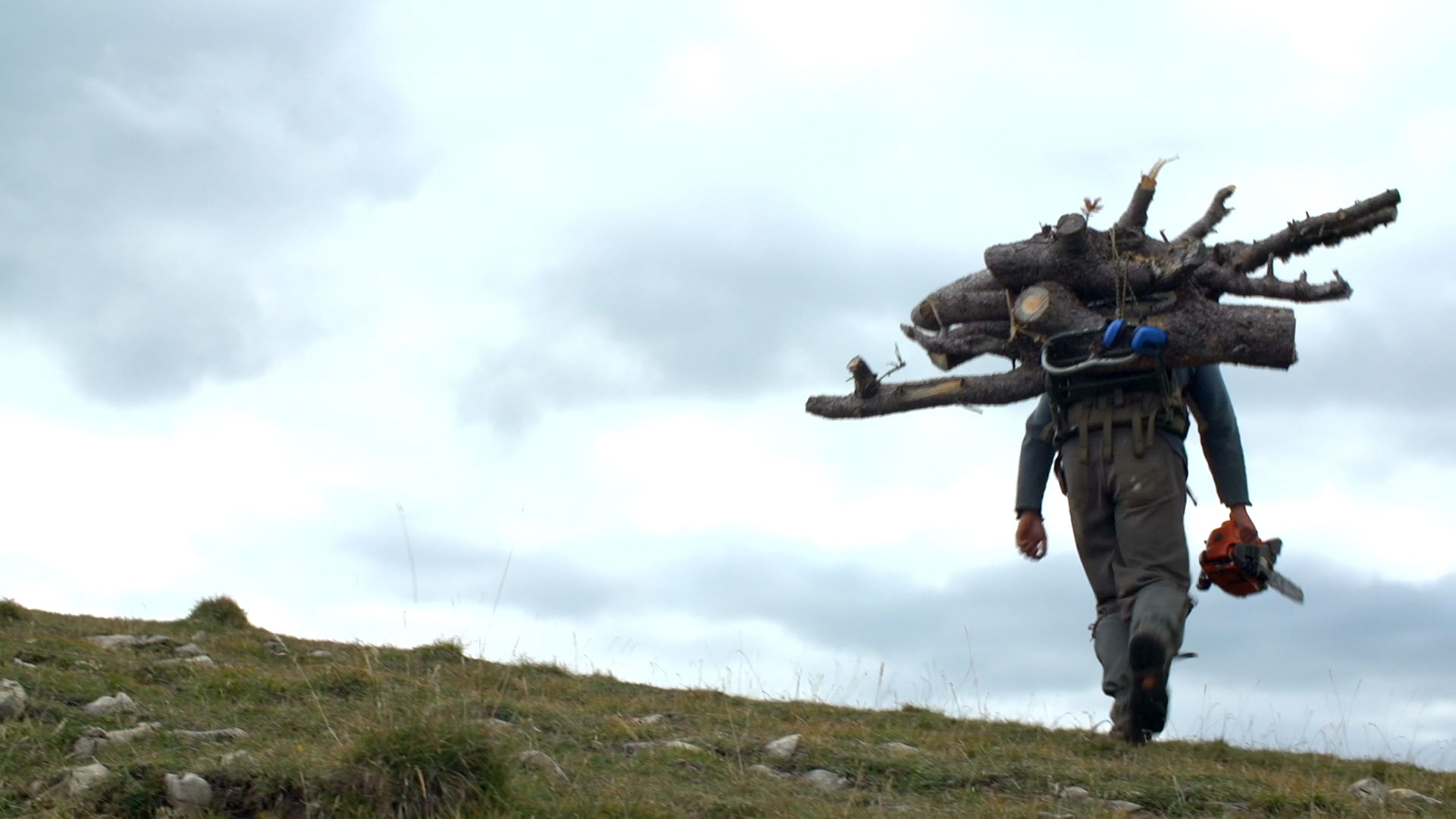 Metaphysique-du-berger