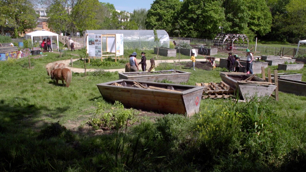 La-carotte-et-le-beton_8