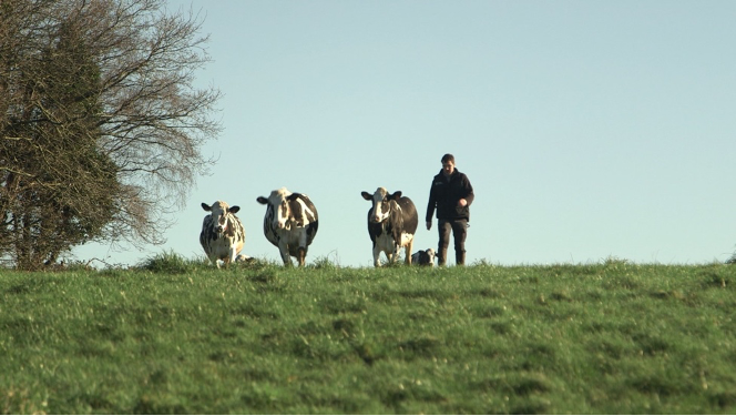 le dernier des laitiers