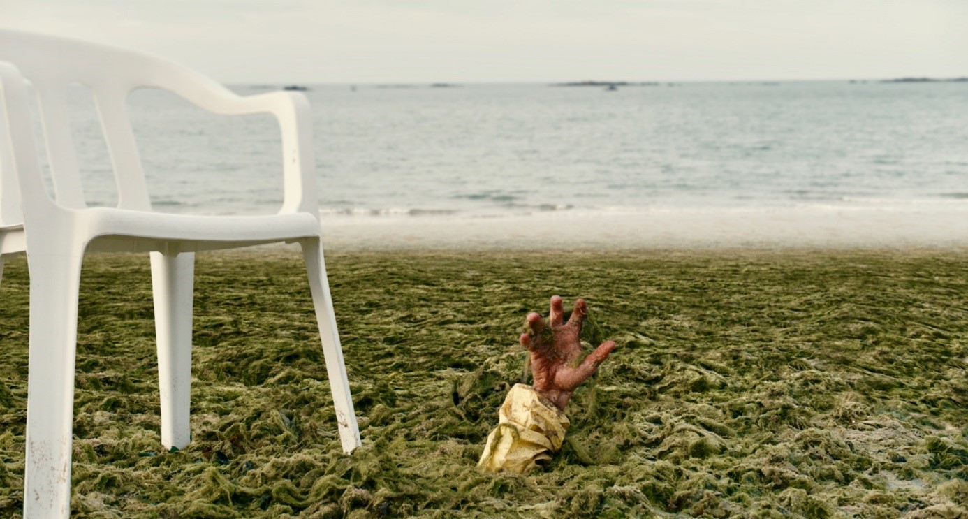 Les-algues-malefiques