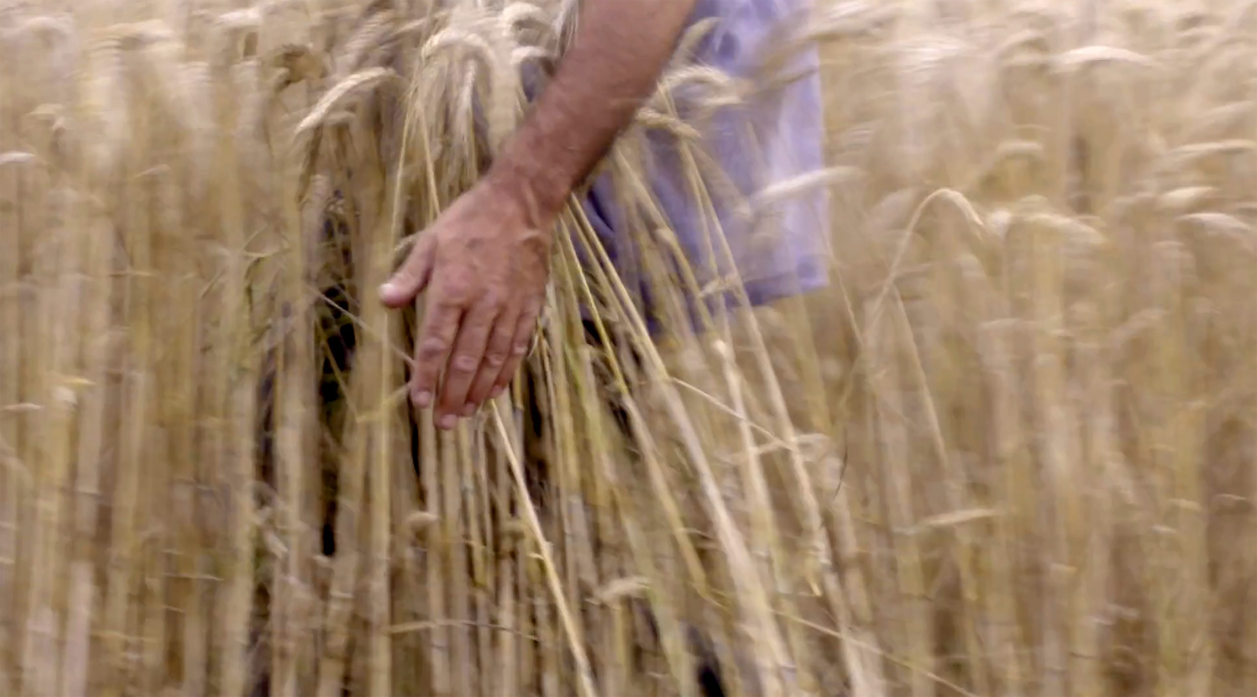 © Mille et Une FIlms _ Vingt ans sans ferme_photo 2