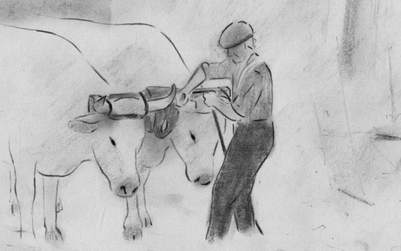 FeB_SCREEN_CHARBON_DE_TERRE