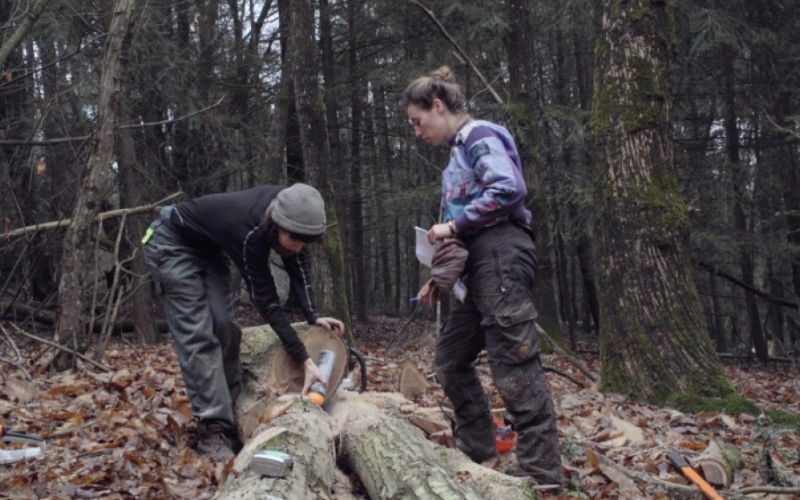 FeB_SCREEN_CULTIVER_LA_FORET